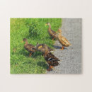 Recherche de canard puzzles Mignon
