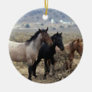 Recherche de mustang sauvage ornements Groupe
