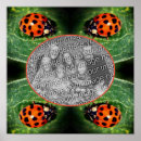 Recherche de insectes et insectes posters Pour elle