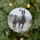Recherche de galop ornements Chevaux sauvages