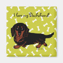 Recherche de poils magnets Doxie