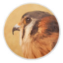 Recherche de américain boutons et poignées de porte Oiseau