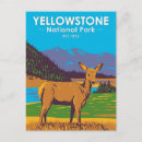 Recherche de deer cartes postales Animal sauvage