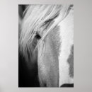 Recherche de contact d art Noir et blanc