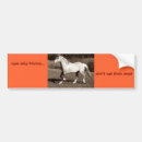 Recherche de cheval sauvage voiture autocollants Animal