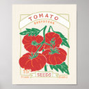 Recherche de tomatoes posters Vegetables