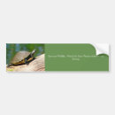 Recherche de tortue verte voiture autocollants Nature