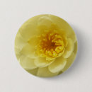 Recherche de nénuphar badges L'eau