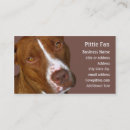 Recherche de pitbull cartes visite Terrier