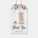 Recherche de cockapoo Dog