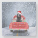 Recherche de chien berger allemand de dessous de verres Neige