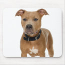 Recherche de chiot pitbull tapis souris À l'intérieur
