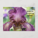 Recherche de botanical cartes postales Fleur