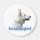 Recherche de berger blanc magnets Allemand
