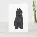 Recherche de la flandre vœux cartes Amoureux des chiens