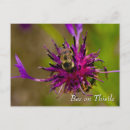 Recherche de chardons cartes postales Jardin