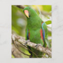 Recherche de province cartes postales Plein air