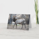 Recherche de élan vœux cartes Taureau