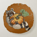 Recherche de racoon coussins Animal
