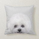 Recherche de la frise coussins Blanc