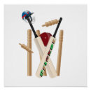 Recherche de cricket posters Balle