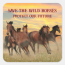 Recherche de cheval sauvage mustang autocollants Chevaux