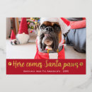 Recherche de paw photographie Pour tous