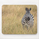 Recherche de kenya tapis souris Dehors