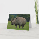 Recherche de hippopotamus vœux cartes Salutation