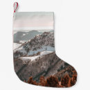 Recherche de oiseau bleu chaussette de noël Neige