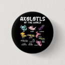 Recherche de axolotl mignon badges Kawaii