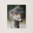 Recherche de partie du corps puzzles Faune