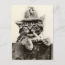 Recherche de chat mignon cartes postales Antique