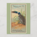 Recherche de plongeurs cartes postales Huard