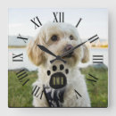 Recherche de animal horloges Chat