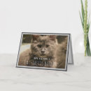Recherche de chat idiot vœux cartes Chaton