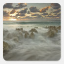 Recherche de caïman autocollants Personne