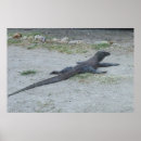 Recherche de komodo posters Faune