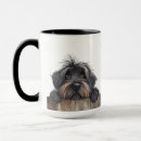 Recherche de briard tasses Dog