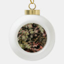 Recherche de exotique ornements Nature