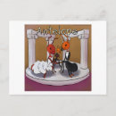 Recherche de fourmis cartes postales Humour