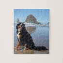 Recherche de bern puzzles Chien de montagne bernois