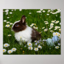 Recherche de easter bunny posters Cute