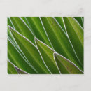 Recherche de motif symétrique cartes postales Symétrie