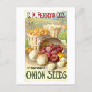 Recherche de oignon cartes postales Jardin