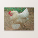 Recherche de chicken puzzles Oiseaux