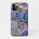 Recherche de perruque iphone coques Perroquet