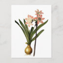 Recherche de botanique antique cartes postales Vintage