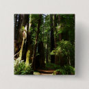 Recherche de fougère badges Forêt