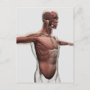 Recherche de tendon cartes postales Force